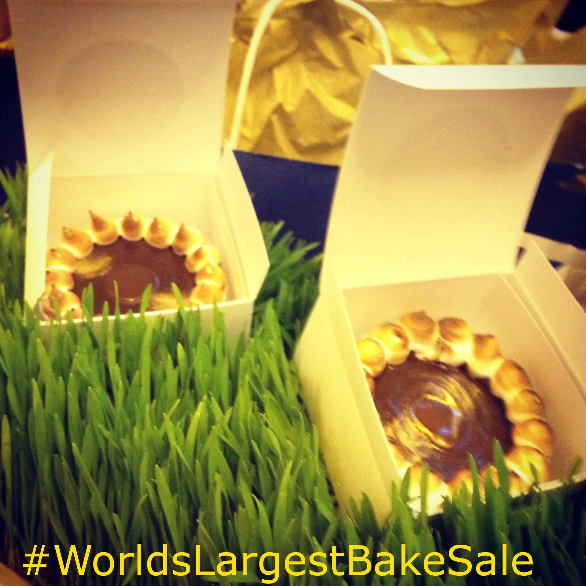 chocolate smores tartlette, world's Largest bake sale, Sandra Lee
