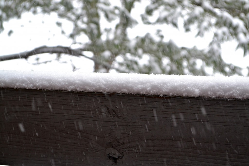 picture of snow on a banister