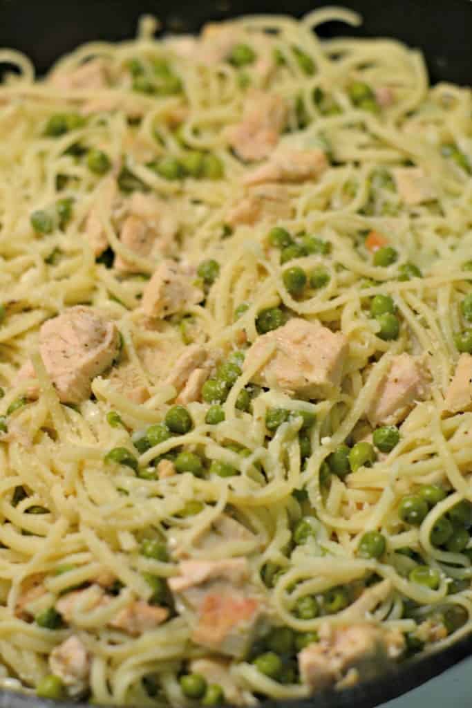 This turkey tetrazzini recipe is a great way to use thanksgiving leftovers! It's a fast meal that's perfect for weeknight dinners.