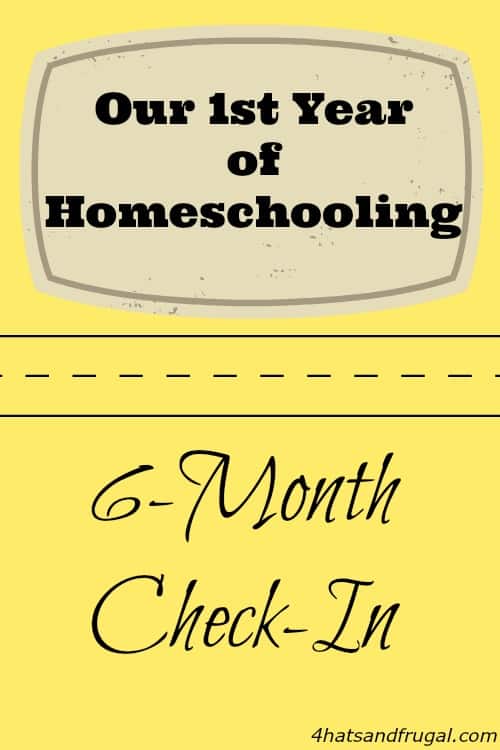 This mom shares how the first 6 months of homeschooling has gone for her and her 9 year old son.