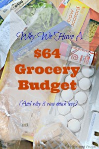 This mom shares why her family of 5 has a $64 grocery budget, and why it used to be much less.