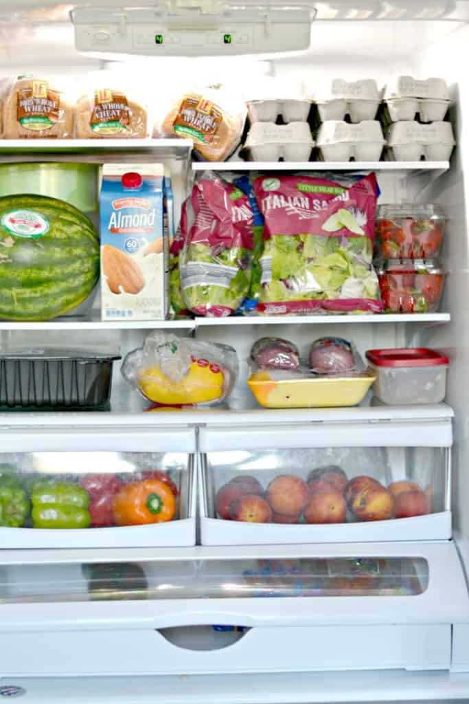 USDA Food Plan Challenge - $174 Grocery Budget at ALDI fridge