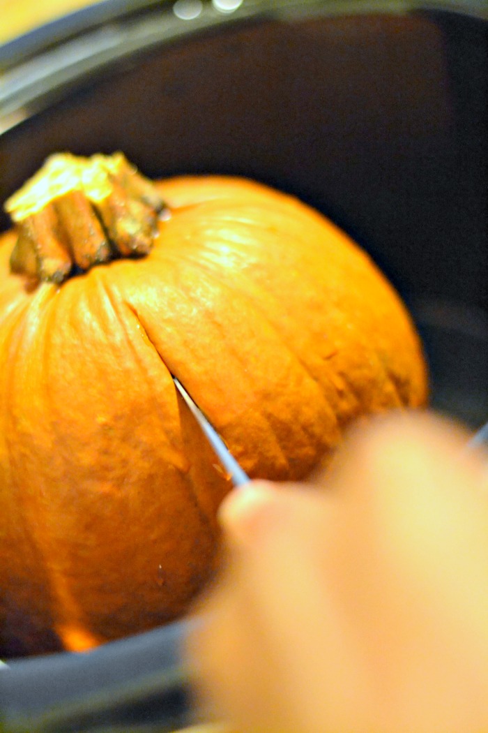 Have you ever roasted small pumpkins in the slow cooker? This post shares an easy slow cooker pumpkin recipe, and why mini pumpkins are awesome.
